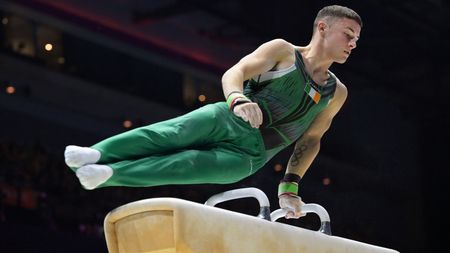 Men's Pommel Horse - Final