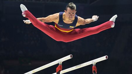 Men's Parallel Bars - Final