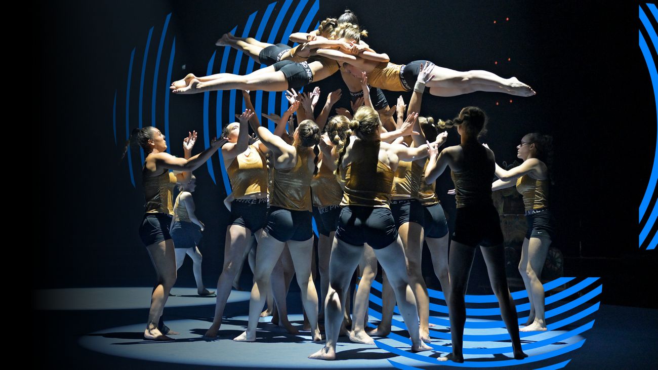National performance, The Netherlands