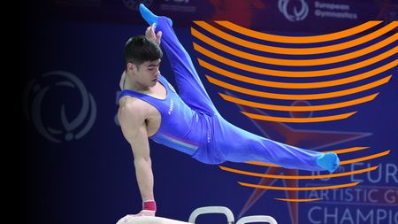 Pommel Horse - Qualification - Subdivision 2