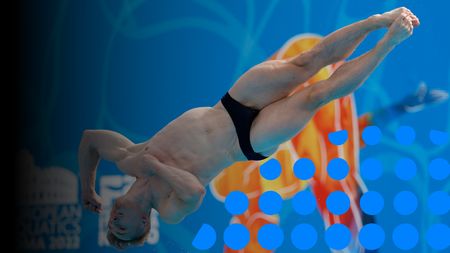 Men's 1m Springboard Final