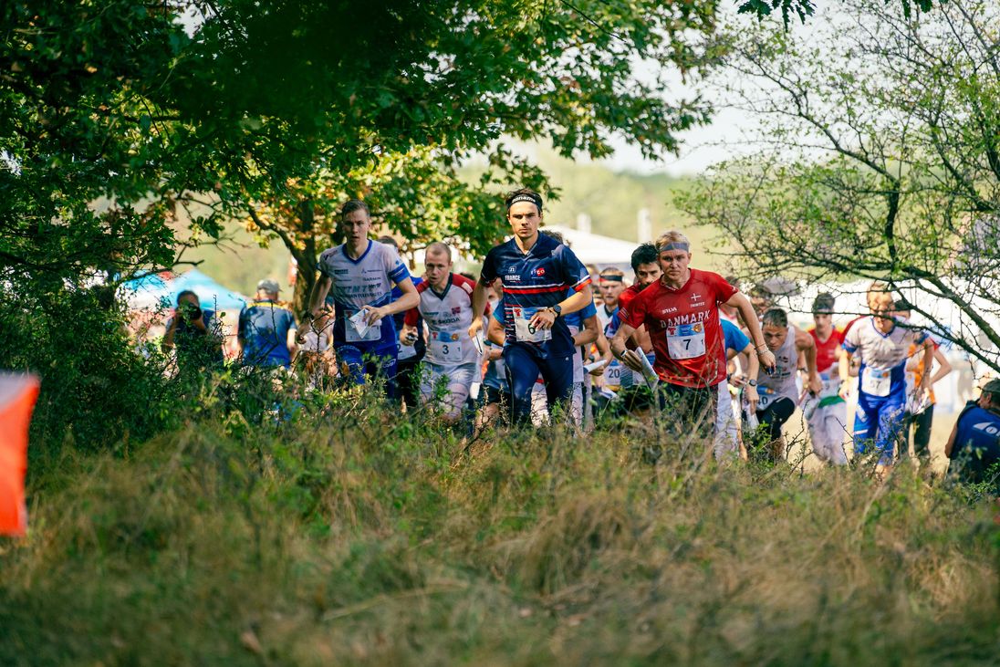 Highlights - Forest Relay, Mór