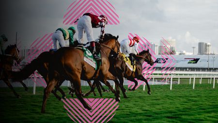 Pegasus World Cup