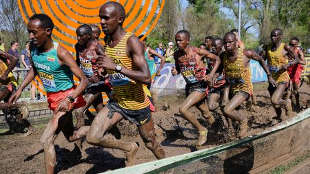 Tallahassee | Men and Women Races