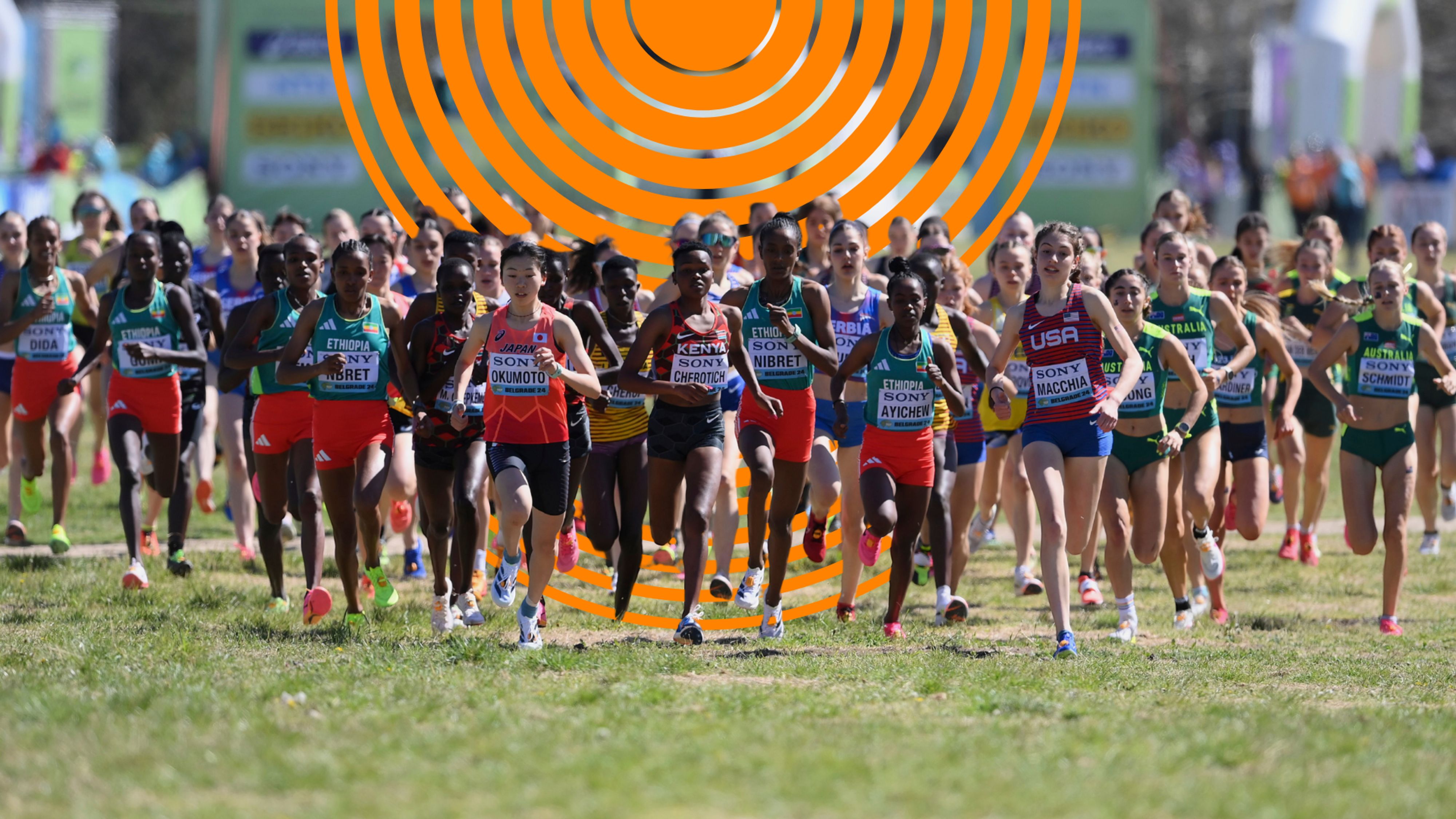 Tallahassee | Highlights background Image