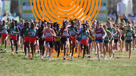 Tallahassee | Highlights