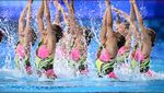 Paris | Team Free Preliminary