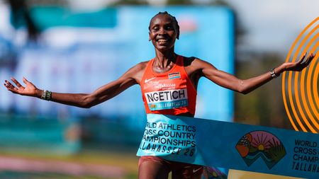 [FRA] Tallahassee | Highlights - Senior Women Race