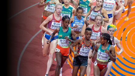 Der Nachmittagsteil auf Deutsch